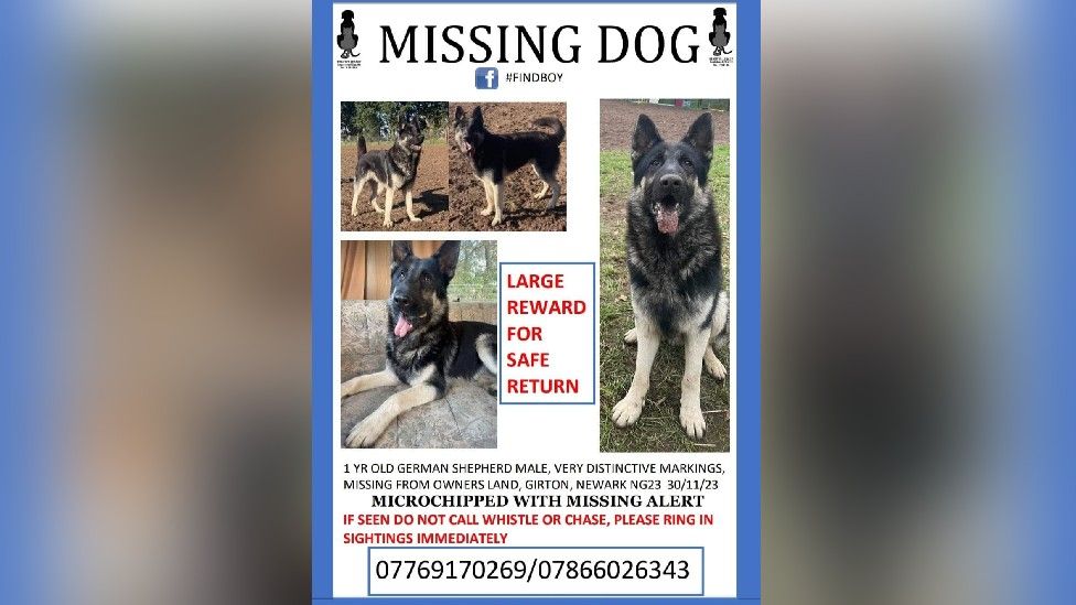 Missing poster