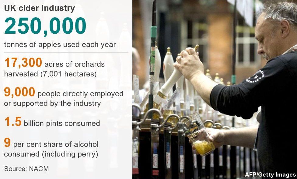 Hundreds of rare cider apples preserved in West country BBC News