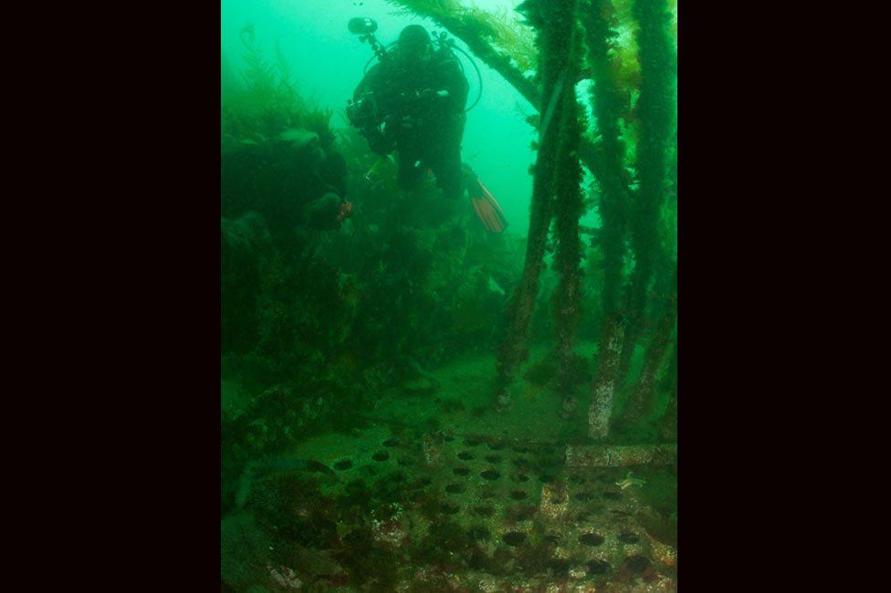 Diving the wreck of the steamship Cathcartpark