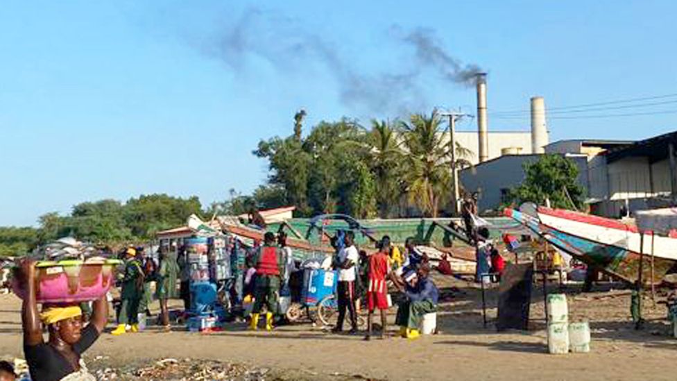 Golden Lead factory in Gunjur, The Gambia