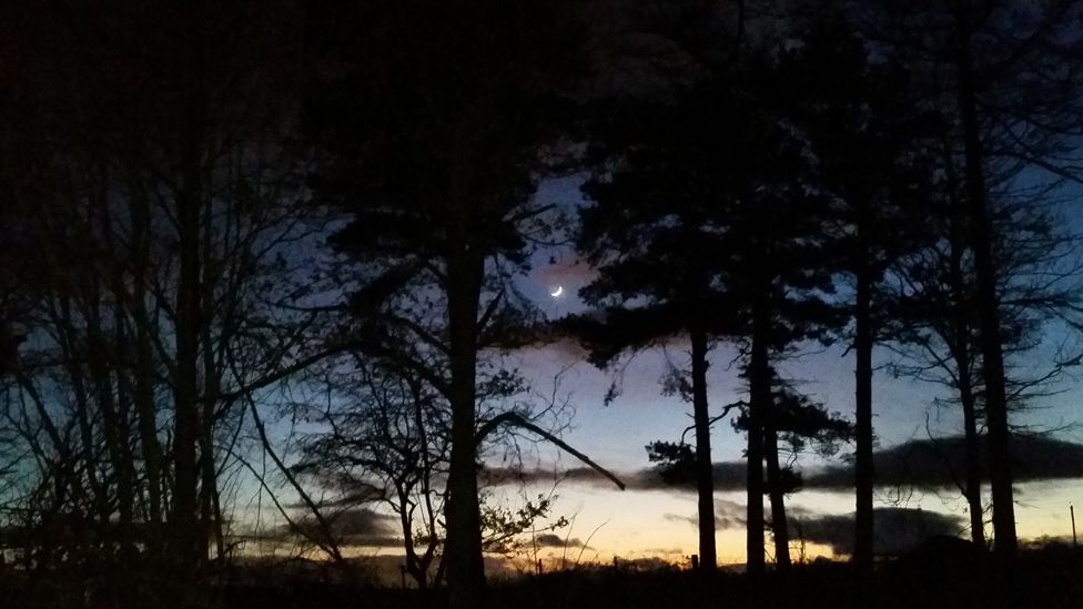 Sunset over Larbert