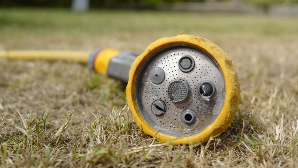 South East Water hosepipe ban for Kent and Sussex lifted after heavy