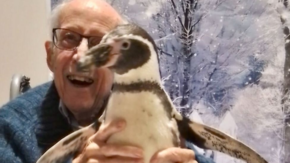 Care home resident with penguin