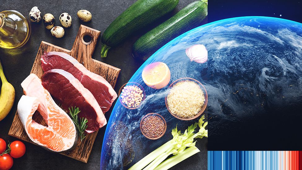 header image illustrating different foods like red meat, salmon, grains, rice and vegetables with the world as seen from space as background