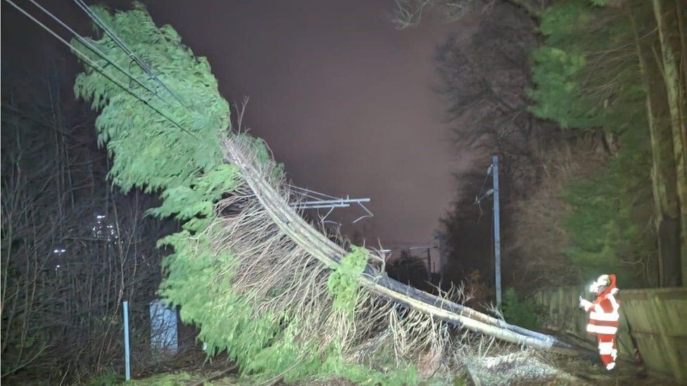 A tree on the line at Gartcosh