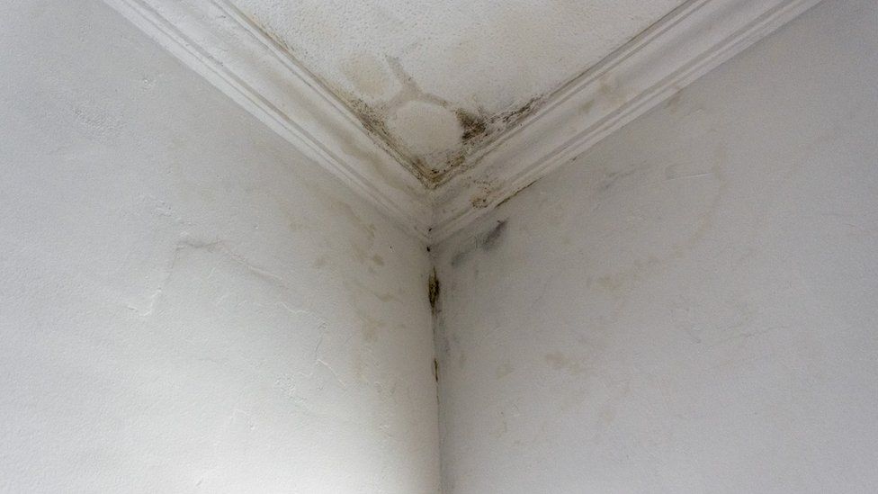 A damp patch on a ceiling