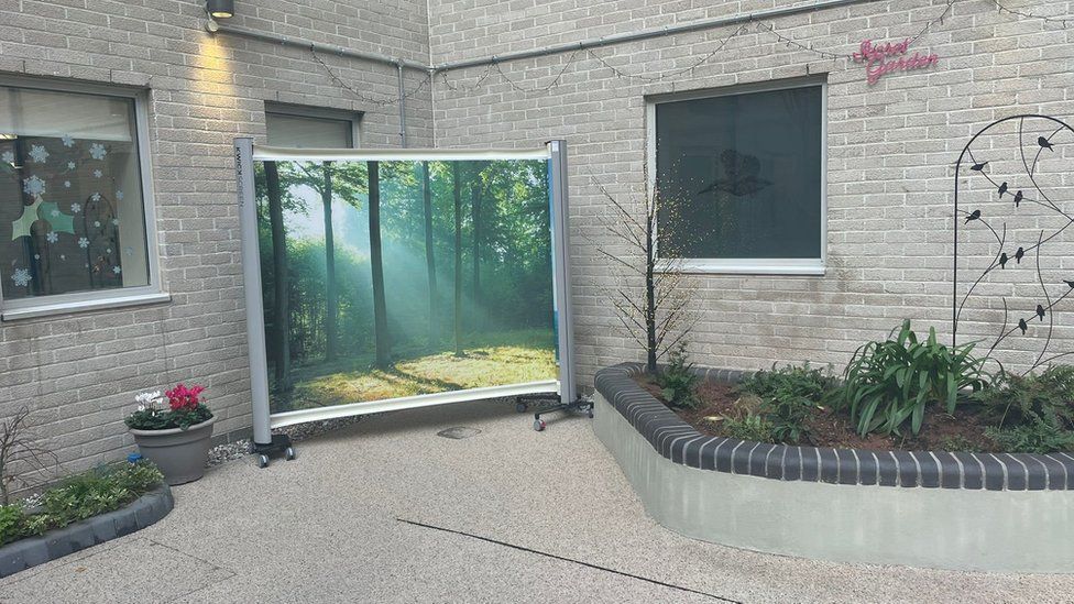 Derriford Hospital garden opens to ICU patients BBC News