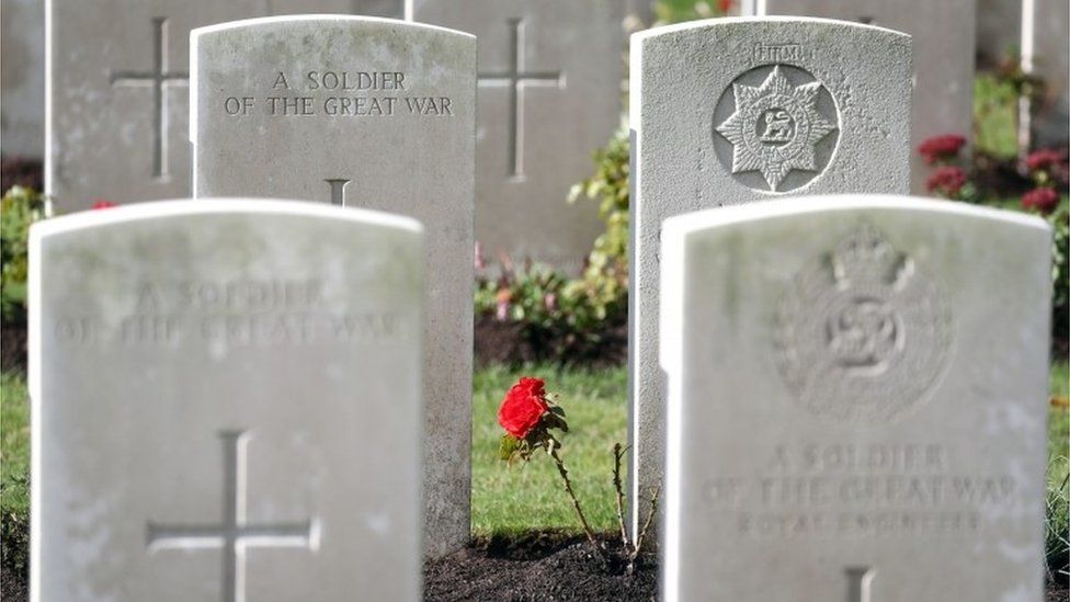 A rose growing between the headstones at the Commonwealth War Graves Commission's Wytschaete Military Cemetery, near Ypres, Belgium