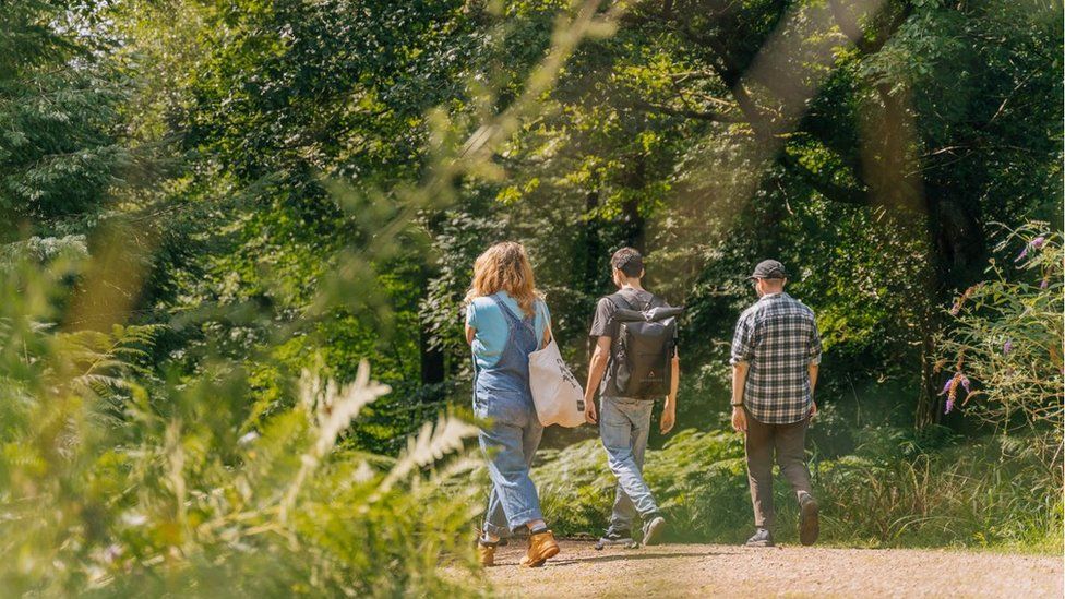 A picture of three people walking down a woodland trail