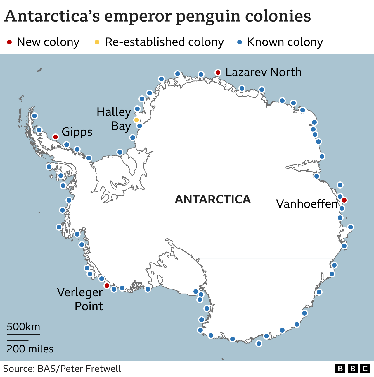 Climate change: Four new emperor penguin groups found by satellite ...