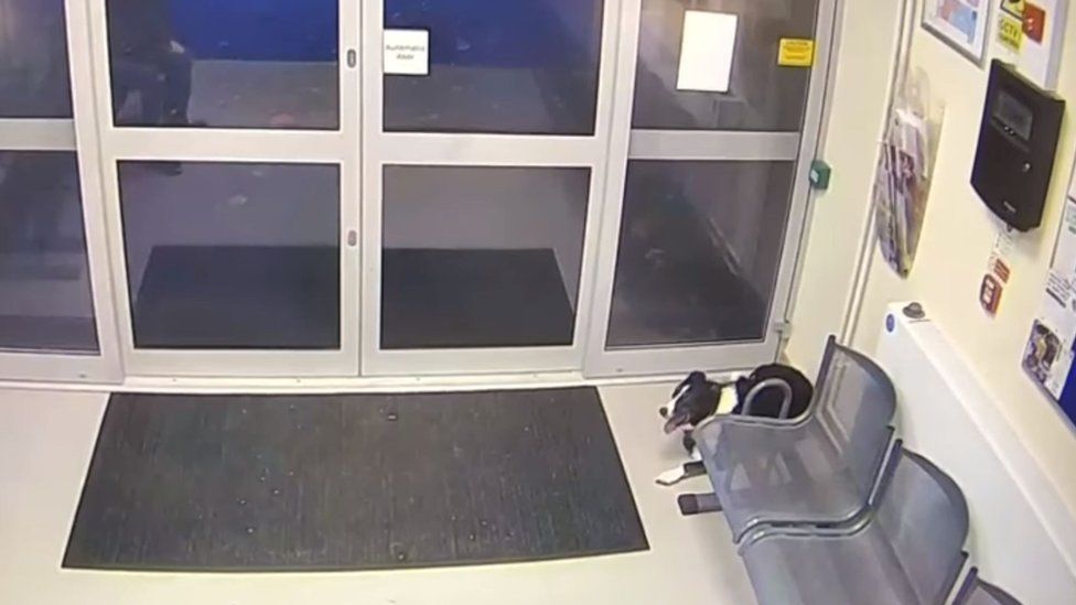 CCTV footage from Loughborough Police Station showing Rosie in the waiting area
