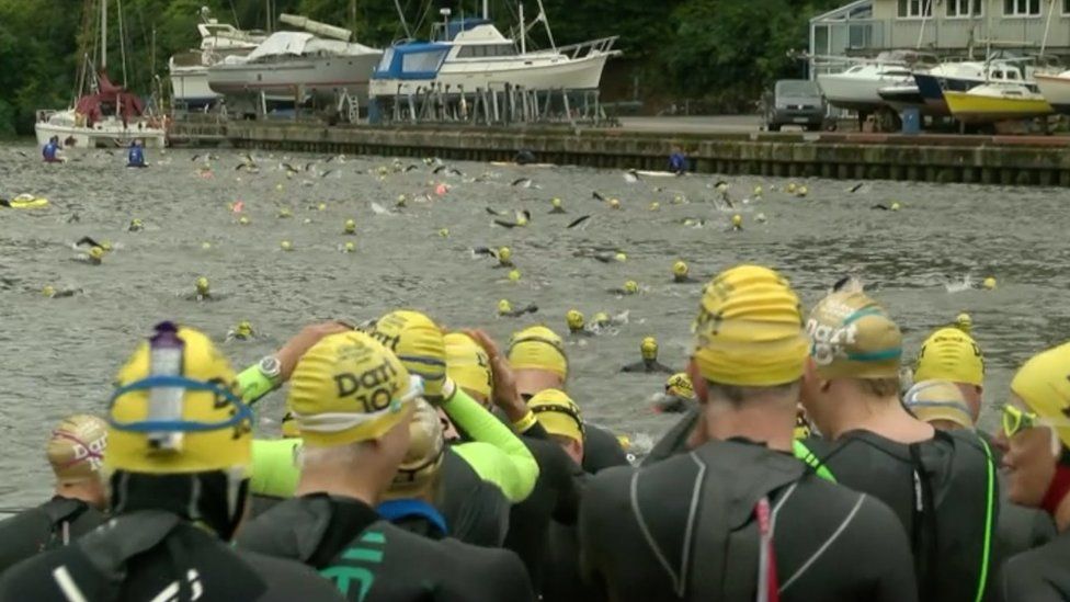 Dart10K swimmers