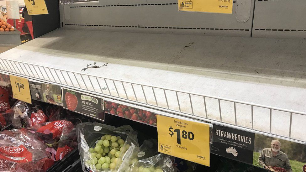 Empty shelves where strawberries are normally displayed for sale in a Brisbane supermarket
