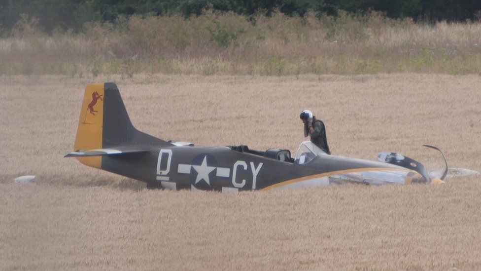 Pilot and Mustang in field