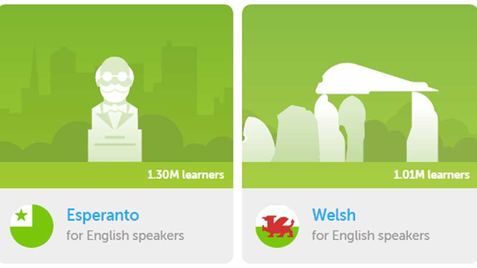 Llun o'r botwm i ddilyn y cwrs Cymraeg ar Duolingo