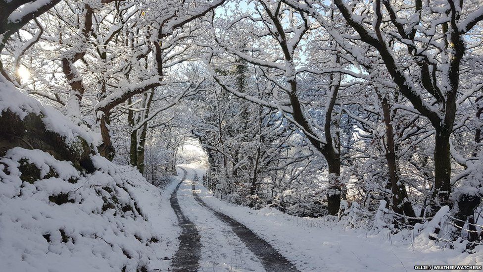 A snowy track