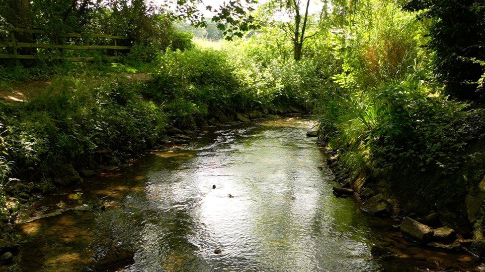 Blick auf den Fluss Granta in Linton, Cambridgeshire