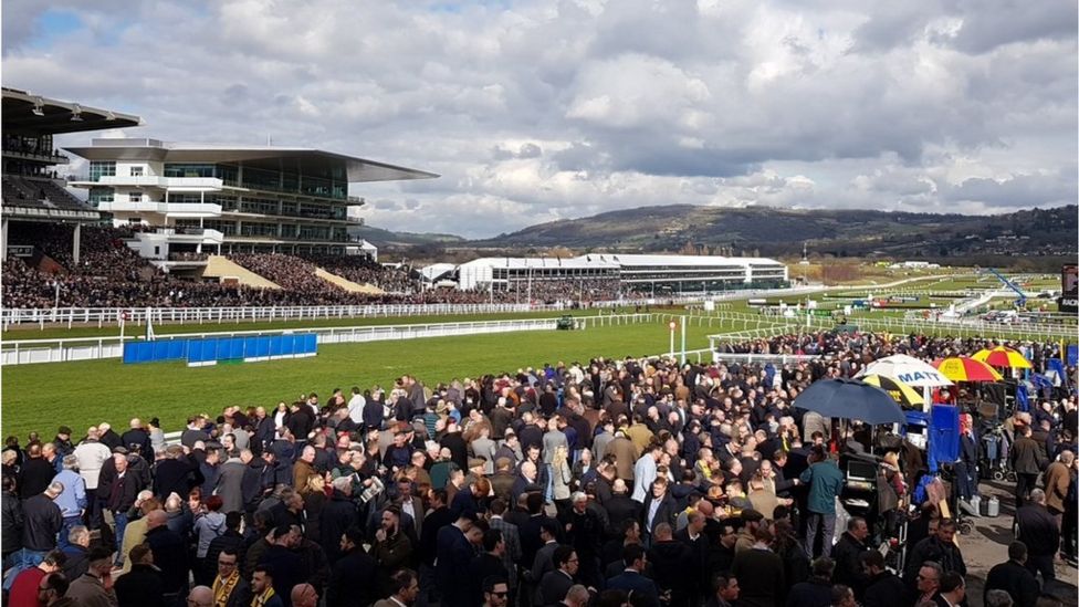 Cheltenham Festival: Racing fans descend on Prestbury Park - BBC News