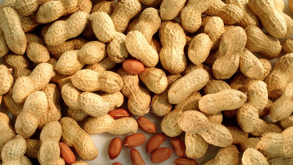 Peanuts, shelled and unshelled