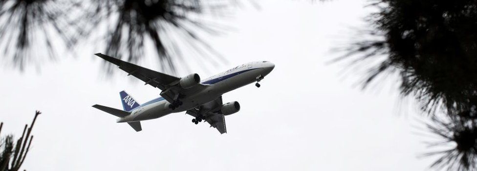 Plane lands at Haneda airport, Tokyo (file image)