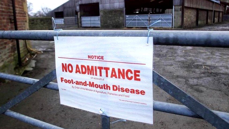 An image at a farm showing a sign blocking off because of foot and mouth infection