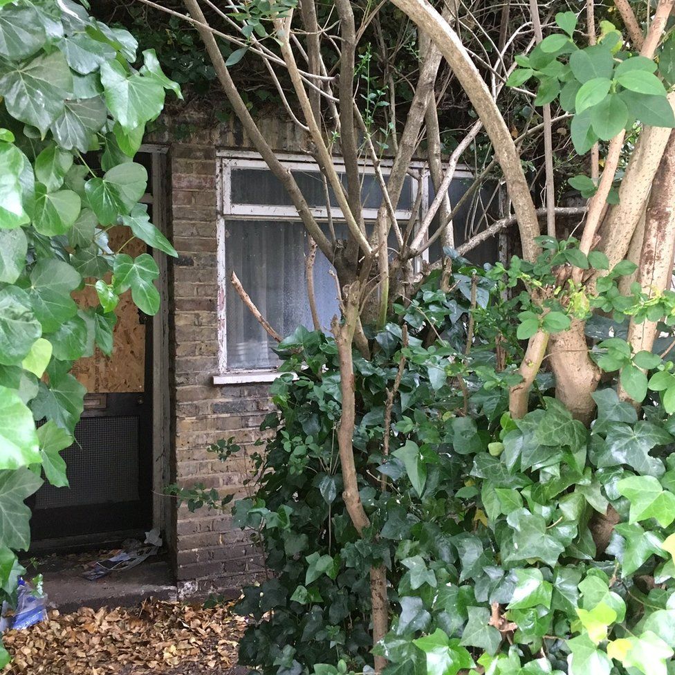 Blackheath house 'swallowed' by plants sold for £554,000 BBC News