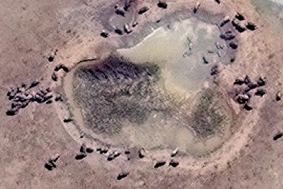Satellite image of elephants around a watering hole in Addo Elephant park