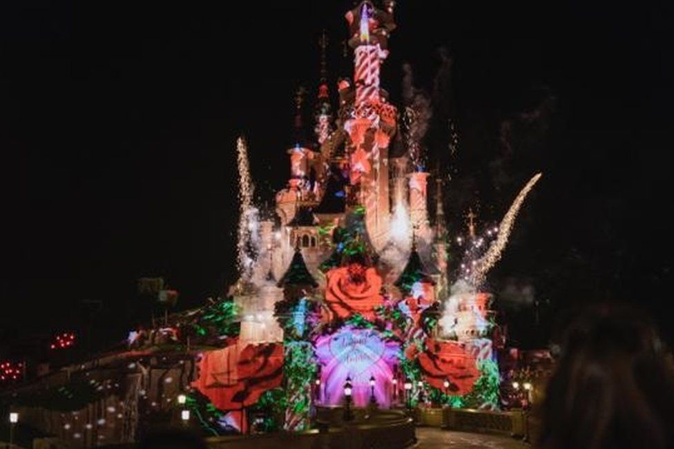 Proposal in Disneyland Paris