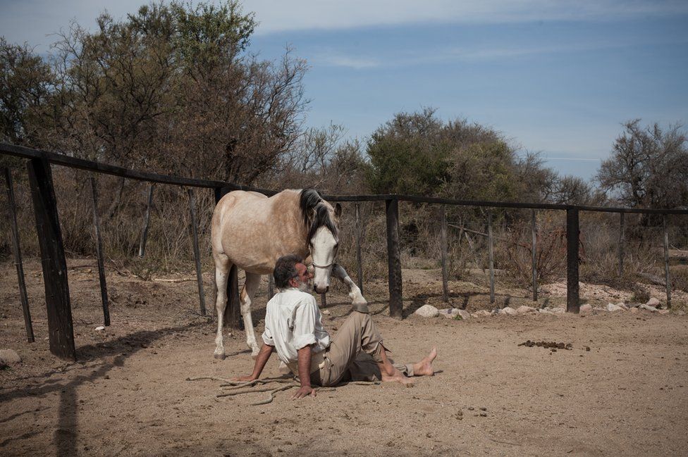 Oscar in the farmyard with a wild foal