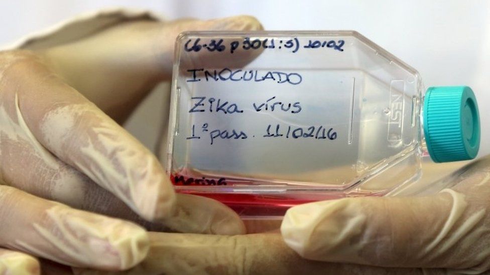 A biologist displays Aedes mosquito cells inoculated with the Zika virus in the University of Campinas, Brazil (11 February 2016)