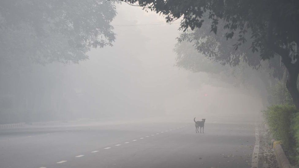 Huge layer of smoke covers Delhi and north India post Diwali