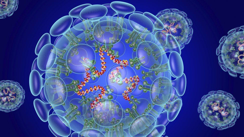 Illustration of Coronavirus structure,