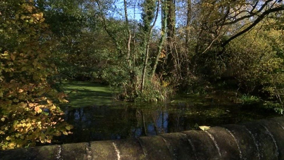 Lash Brook