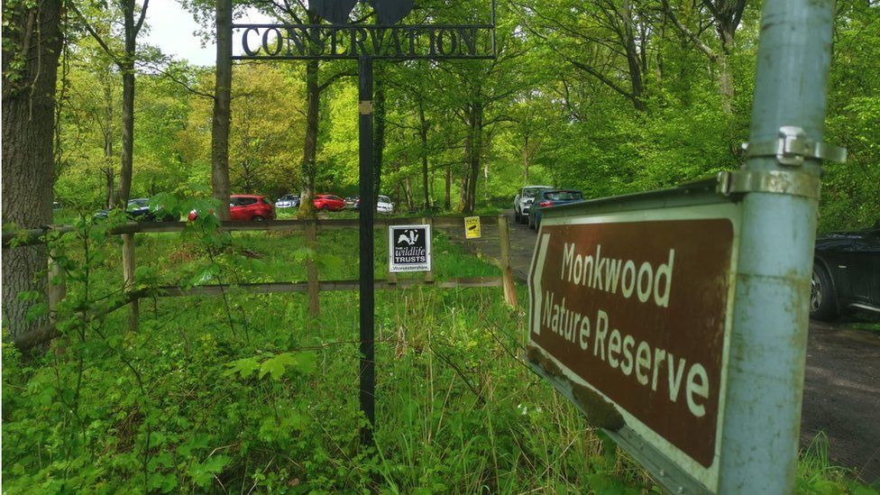 Monkwood nature reserve
