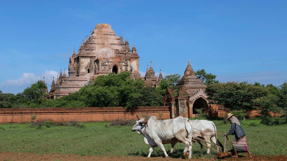 A woman farms in a field in front of the Sulamani Guphaya temple, which was damaged after a strong earthquake hit Bagan, Myanmar, 25 August 2016.