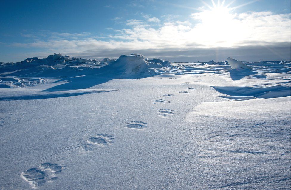 _109029427_footsprintsinthesnow2.photoni