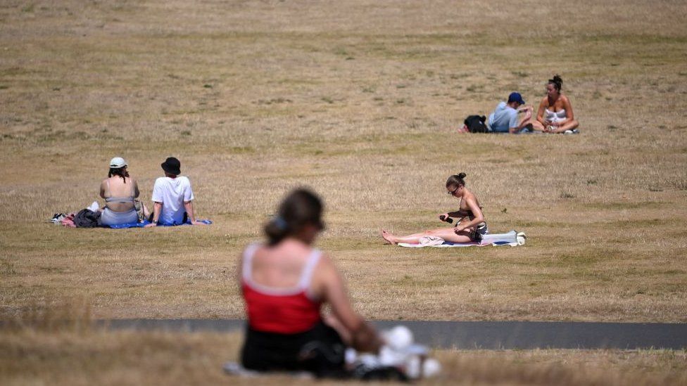 People sunbathing in park