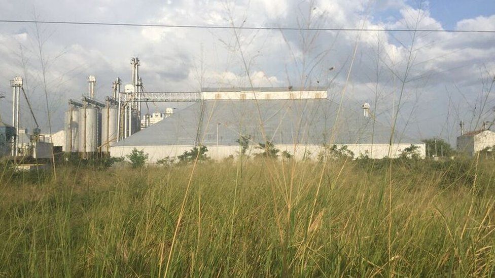 Metal silos penetrate a green horizon