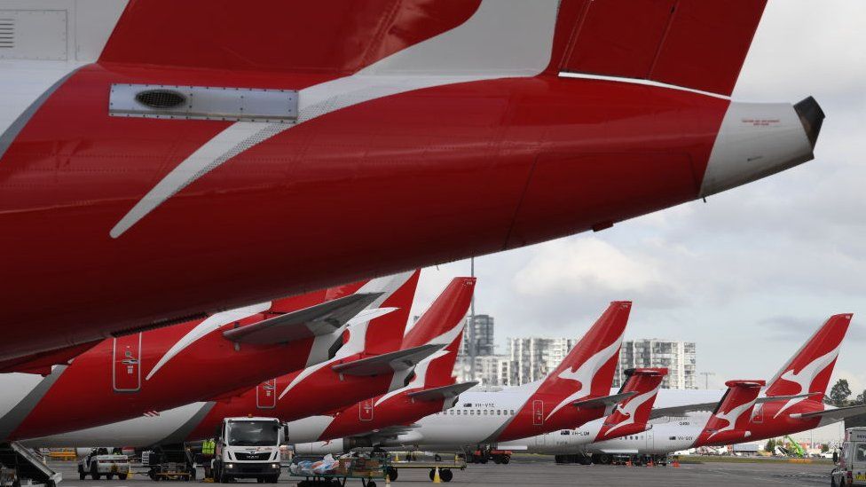 Qantas planes lined up at Sydney Airport.