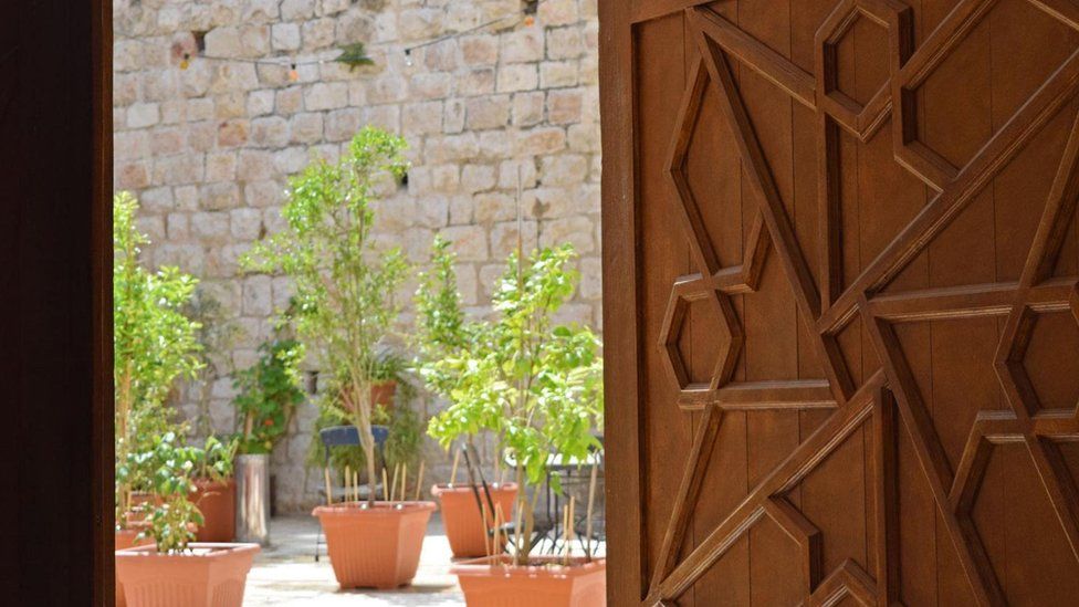 (Credit: Sara Toth Stub)