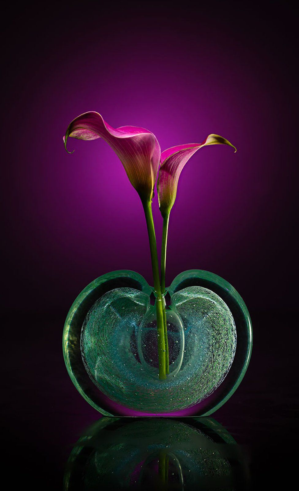 Two flowers in a perfume bottle with a dark purple background