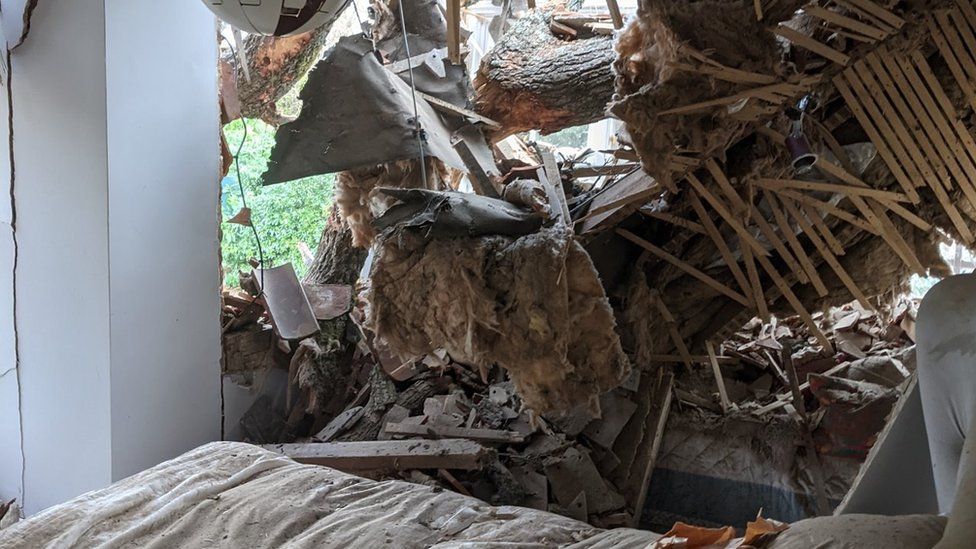 Tree damage to house