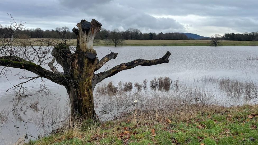 Attingham Park, near Shrewsbury