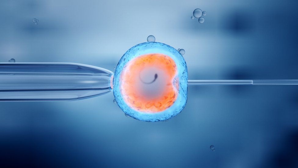 In vitro fertilisation of an egg cell with sperm (after it has been thawed from frozen)