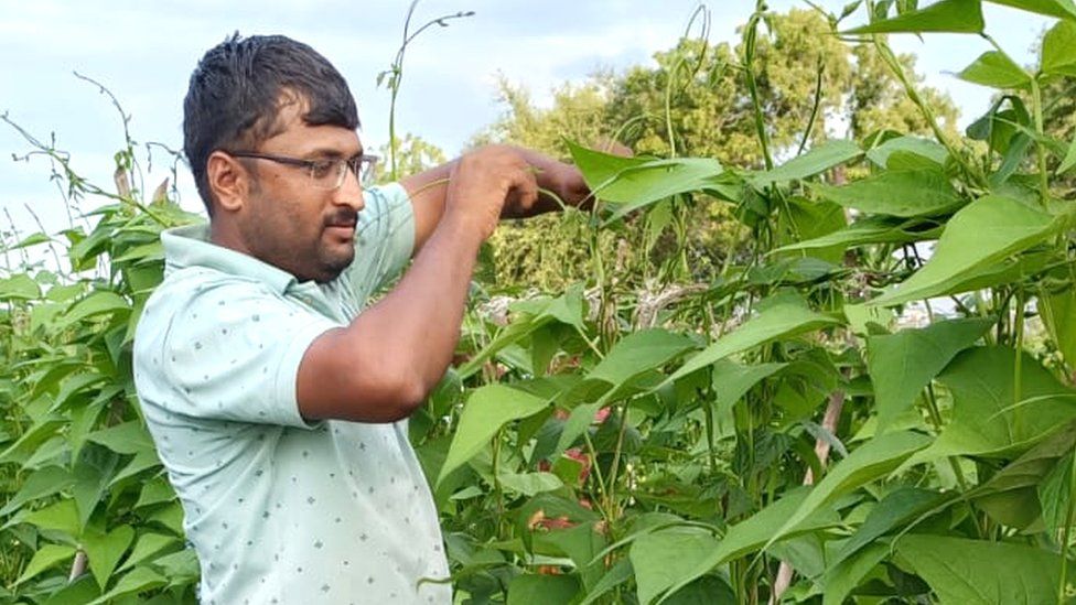 Sagar Lokhande, farmer