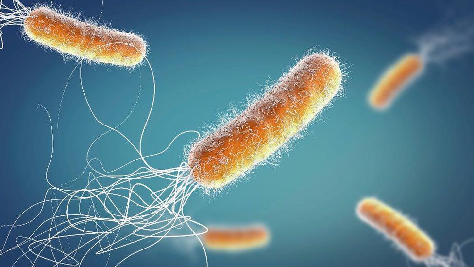 Antibiotic-resistant bacteria