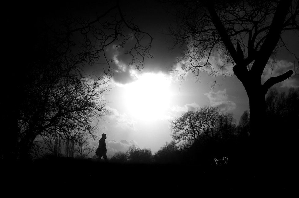 The silhouette of a man in the park
