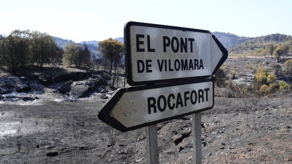 Последствия лесного пожара в Испании