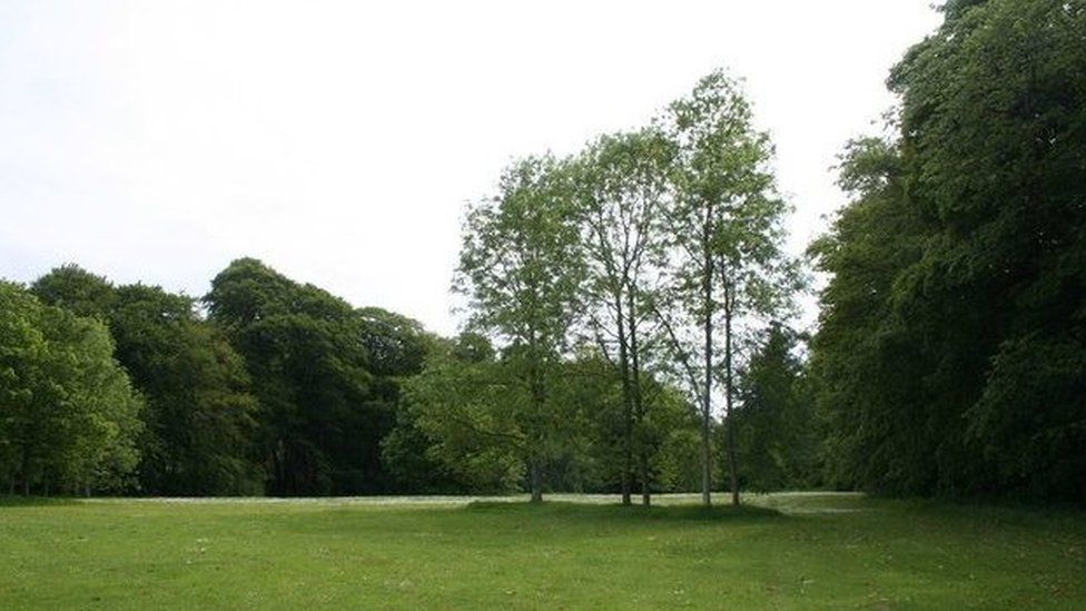 Chainsaws and van taken in Aden Country Park raid in Mintlaw - BBC News