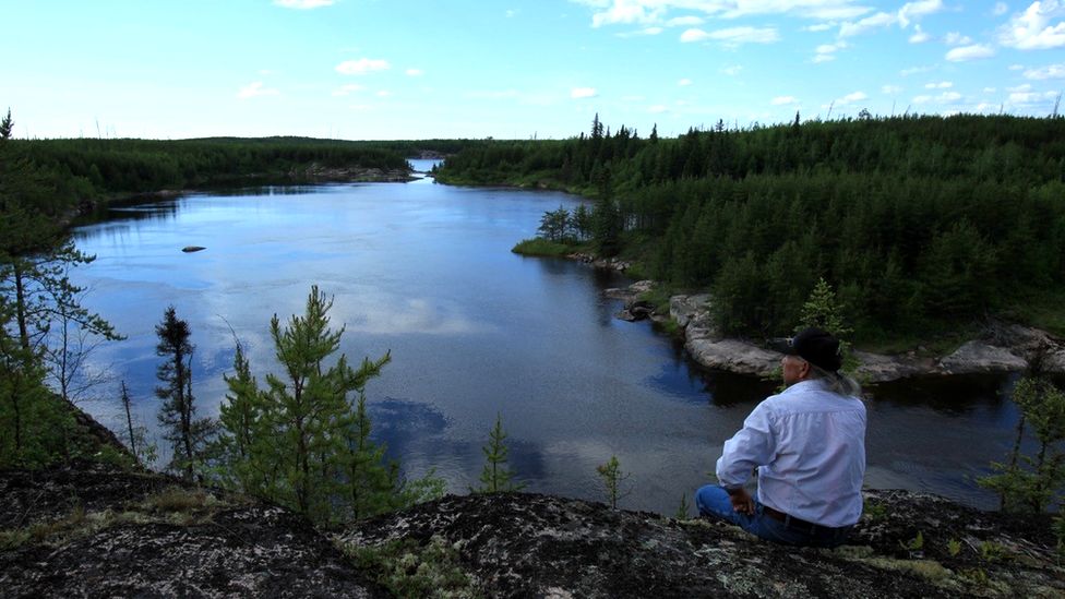 A world heritage forest in Canada